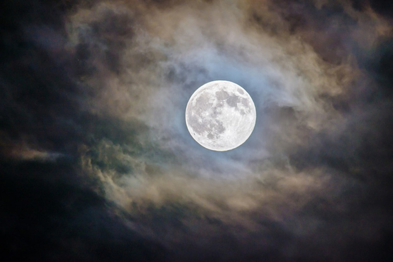 FRIDAY 10
EVENT: Wolf Moon Walk
Head to the Cincinnati Nature Center after hours for a special guided hike backdropped by the Wolf Moon, aka the first full moon of 2020. Named after howling wolves, of which there are many in January (it&#146;s breeding season!), the walks in Milford&#146;s Rowe Woods generally run for around an hour and a half. They avoid hills, steps and streams to ensure safety. As you stroll, expect periodic stops to learn about natural history, engage in special readings or simply to enjoy the light of the full moon.
7:30 p.m. Friday, Jan. 10. $5 members; $10 non-members. Rowe Woods, 4949 Tealtown Road, Milford, cincynature.org.
Photo: Unsplash/GanapathyKumar