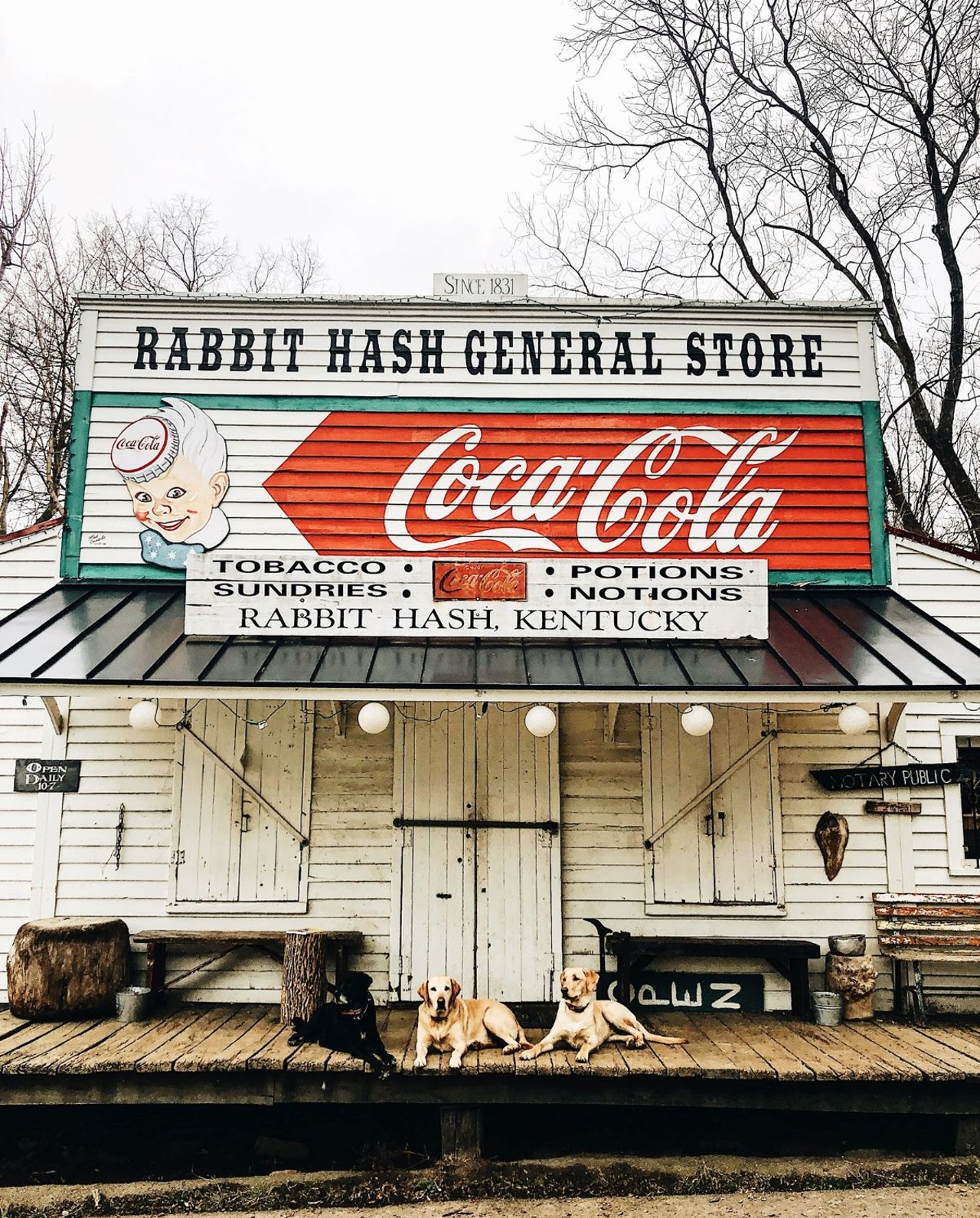 Sunday Music Behind the Stove
When: Jan. 7 at 2 p.m.
Where: Rabbit Hash, Kentucky
What: Live music
Who: Rabbit Hash General Store
Why: Jug band the Cincinnati Dancing Pigs will be there.