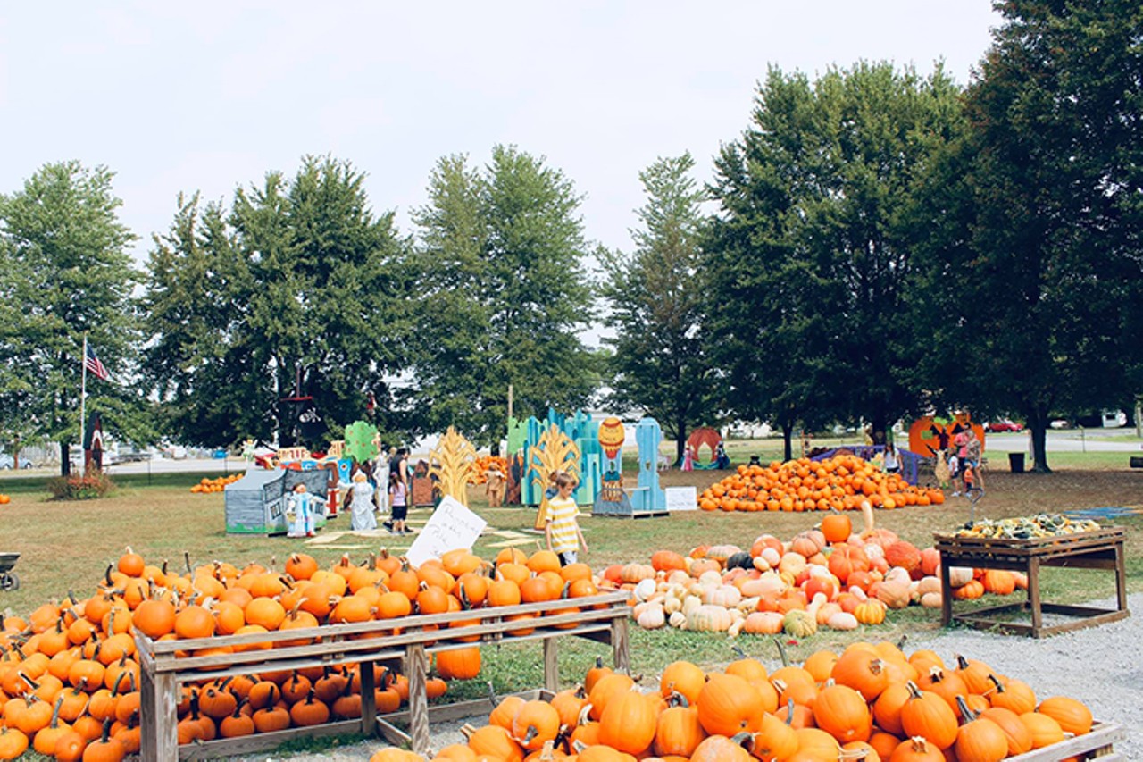 Shaw Farms Market
This farm is family-friendly with things to do for all ages during fall Pumpkin Times, which runs through the end of October. There are horse-drawn or tractor-drawn hayrides, a 15-acre corn maze, an interactive playground, live Bluegrass music and pedal cart races. Pick your own pumpkin from the pumpkin patch or head to the produce barn to enjoy apples &#151; and fresh-pressed apple cider &#151; straight from the orchard. Some activities require tickets, available for purchase online.
9 a.m.-6 p.m. Monday-Saturday; 9 a.m.-5 p.m. Sunday. Through Oct. 31. Pricing is a la carte but bundles include a $46 family fun pack or $15 bundle (tractor ride, corn maze, pedal kart and barrel train). 1731 State Route 131, Milford, shawfarms.com.
Photo: Facebook.com/shawfarmsmarket