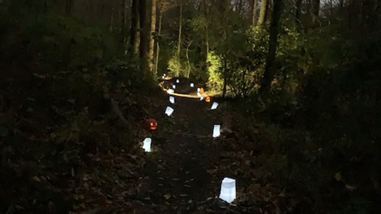 Jack-O-Lantern Hike at Cincinnati Parks Magic Forest
7-10 p.m. Oct. 22
Instead of walking in a winter wonderland, you can stroll through something slightly scarier. Take a hike through Cincinnati Parks’ Caldwell Nature Preserve and enjoy the trail of jack-o-lanterns and assorted holiday luminaries on display. Come dressed accordingly for this outdoor event. Note: The trails are not stroller-friendly due to uneven footing. This hike requires online registration for groups of up to five. $5 ages 3 and older. Caldwell Nature Preserve, 430 W. North Bend Road, Carthage.