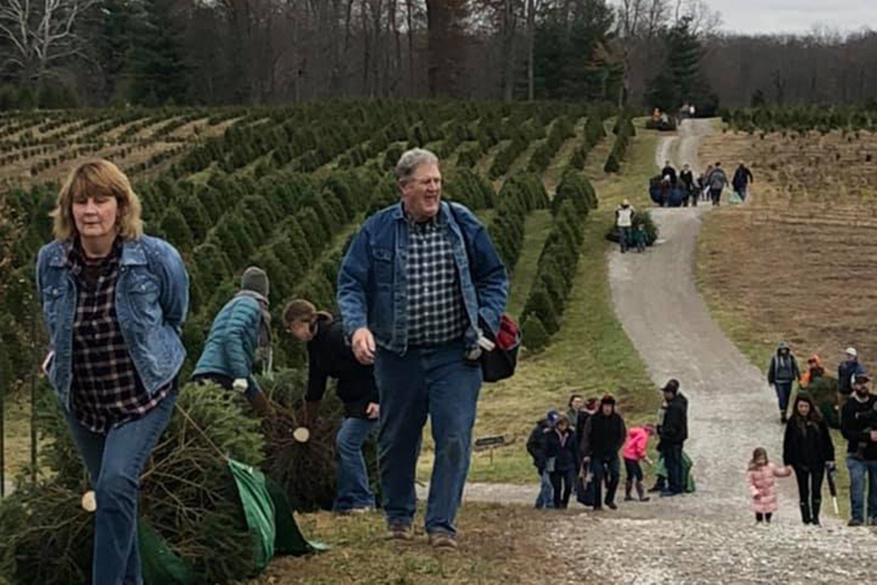 Corsi Tree Farm
1651 Bolender Road, Hamersville
In operation since 1955, this 100-acre family-friendly farm offers Norway Spruce, Colorado Blue Spruce, White Pine, Scotch Pine and Canaan Fir, all for $85. Cut your own tree starting the day after Thanksgiving and stop by the Broken Stone Lodge for hot cocoa, ornaments, live music, Italian chili and a free petting zoo. Please note they no longer carry balled or burlapped trees.
Open 9 a.m.-5 p.m. Wednesday-Sunday from Nov. 24-Dec. 23.