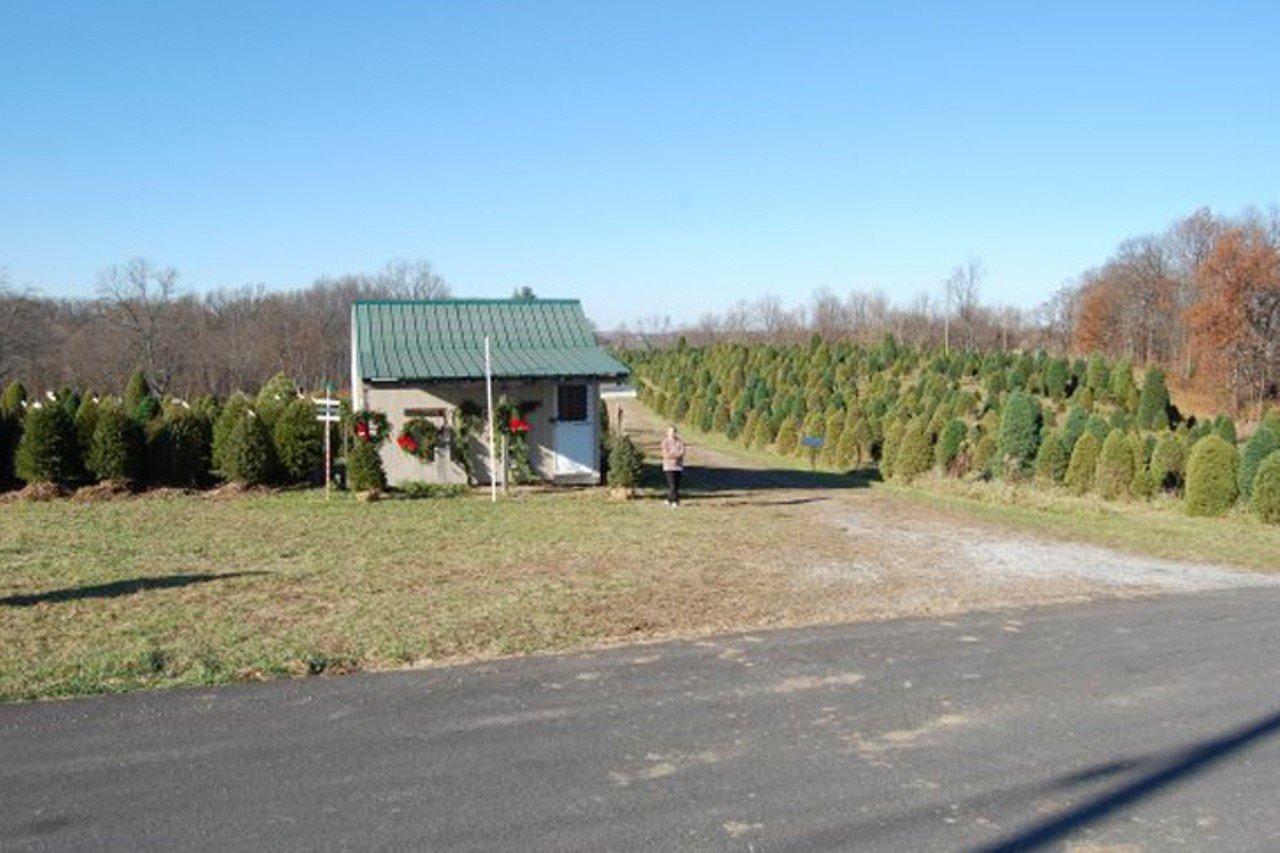 Bezold Pines
12751 Fisher Road, Alexandria, Kentucky
Bezold Pines offers you a chance to choose and cut your own tree or buy a pre-cut or balled tree. They also offer wreaths.
Open 10 a.m.-5 p.m. Friday through Sunday starting Nov. 24.