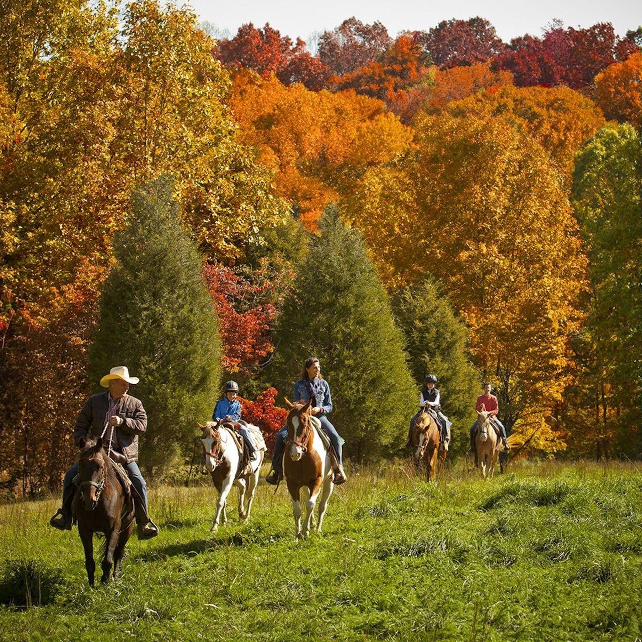 Brown County, Indiana
Distance: 2 hours 
Brown County in Indiana is a fall wonderland, offering visitors everything from outdoor recreation and historic walking tours to art galleries and studios. Lace up your hiking boots to take on the 7 Vistas Challenge, hit the mountain biking trails or saddle up for a trail ride with Brown County Saddle Barn. In the cute nearby town of Nashville, you can learn to line dance, take horse-drawn tours of the historic area and drink at plenty of local breweries, wineries and distilleries. Watch live music at the historic Brown County Playhouse or enjoy some of the beautiful artwork scattered around town.