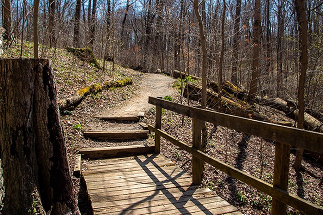 Withrow Nature Preserve
    7075 Five Mile Road, Anderson Township
    The Trout Lily Trail in the Withrow Nature Preserve is a moderately difficult 1.7-mile nature trail through verdant green woods, bushes and grass. This trail is rarely crowded so it makes for a great peaceful walk.  
    Photo: Paige Deglow