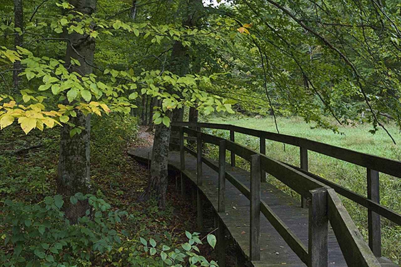 Miami Whitewater Forest
9001 Mt. Hope Road, Harrison
Miami Whitewater is the go-to park for people living in Harrison. Four nature trails wind through the Miami Whitewater Forest. The paved exercise trail leads through views of woods, creeks, grasslands and local rural neighborhoods for a 1.4 mile loop or the outer loop of almost 7.8 miles.  
Photo: Provided by Great Parks of Hamilton County