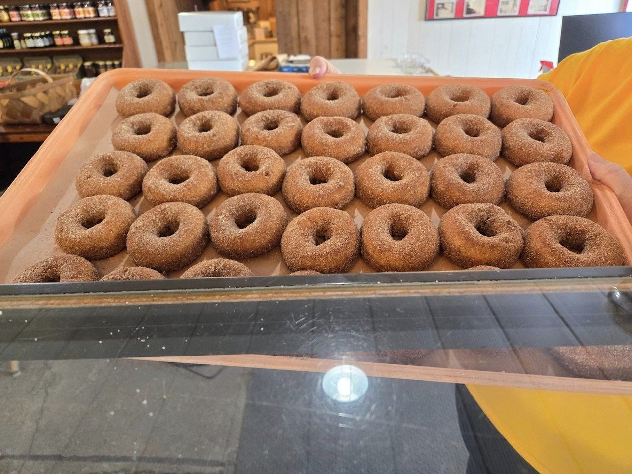 Treat Yourself to Some Tasty Fall-Inspired Treats
Whether it’s apple, cinnamon, pumpkin or maple, sinking your teeth into a fall-flavored treat just puts you in a good mood. We highly recommend pairing some Irons Fruit Farm cider with their apple cider donuts for a good, autumnal sugar rush. The BonBonerie has rolled out an Apple Caramel Cake for fall, and Starlight Doughnut Lab has Apple Crisp, Apple Cider and Pumpkin Spice Latte donuts. For a cozy fall drink, try the Fall Spice Latte at Mom ‘n ‘em; it features housemade syrup with clove, cinnamon, star anise and other warm baking spices. There’s also the Maple Sea Salt Cappuccino at Fable Cafe, which is made with espresso, your choice of milk, Bonhomie Farm Pure Ohio Maple Syrup and flaky sea salt.