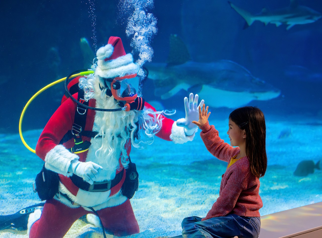 Scuba Santa’s Winter Wonderland at Newport Aquarium
1 Levee Way, Newport
Scuba Santa’s Water Wonderland is a festive adventure that starts in the Surrounded by Sharks tank where Santa swims with three rare shark rays, Denver the loggerhead sea turtle and other fishy friends. And just because he’s underwater doesn’t mean your kids can’t tell Santa what they want for Christmas; his special magic allows him to hear even as he dives. Visitors can also enjoy holiday music and colorful lights throughout the aquarium, as well as the return of the magic bubbles, which carry everyone’s Christmas wishes to Santa, in Shark Ray Bay Theater. When a bubble pops, that means a Christmas wish has come true. Kids can also color their own magic bubble to make sure their most important wishes make it directly to jolly ole St. Nick, who will be reading them daily before his final dive on Christmas Eve.
Open daily Nov. 24-Dec. 24