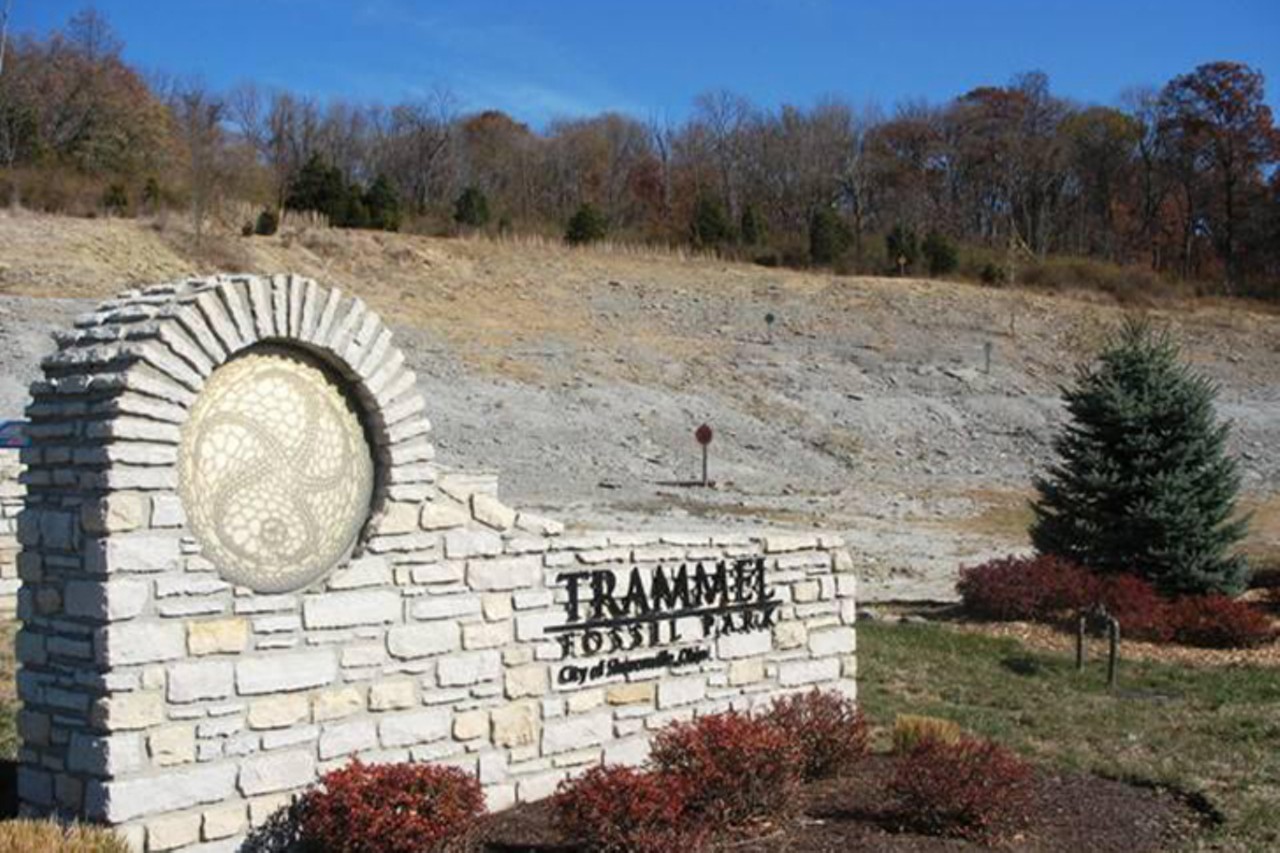 Go fossil hunting at the Trammel Fossil Park
10900 Reading Road, Sharonville
Named after the Trammel Family, this undisturbed hillside draws newcomers and paleontology enthusiasts alike for Ordovician-age fossil hunting. The park offers a pavilion with a kiosk to help learn about and identify fossils, as well as a nearby geocaching site. Because the slope is exposed, be sure to bring sun protection for an undisturbed, all-day rock-hunting experience.
Photo via Trammel Fossil Park&#146;s Facebook