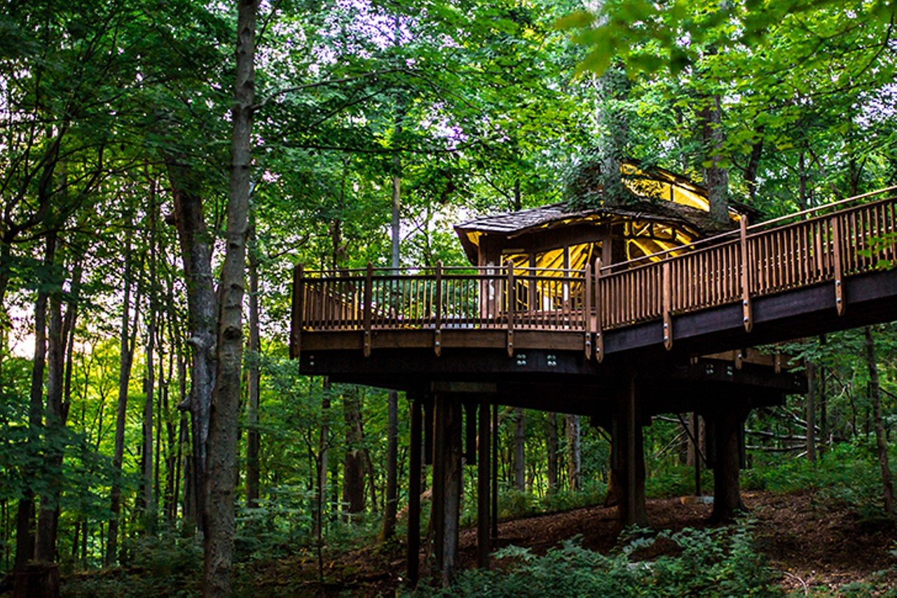 Everybody's Treehouse
1212 Trail Ridge Road, Mt. Airy
Hidden in the largest city park in Cincinnati is a magic treehouse. Few know about it, but those who do come from all over to live out childhood dreams. This otherworldly, elevated structure buried in trees and seemingly snatched out of a fantasy novel is the Mount Airy Treehouse. It’s located in Mount Airy Forest and has a sign that reads “Everybody’s Treehouse” at its entrance.