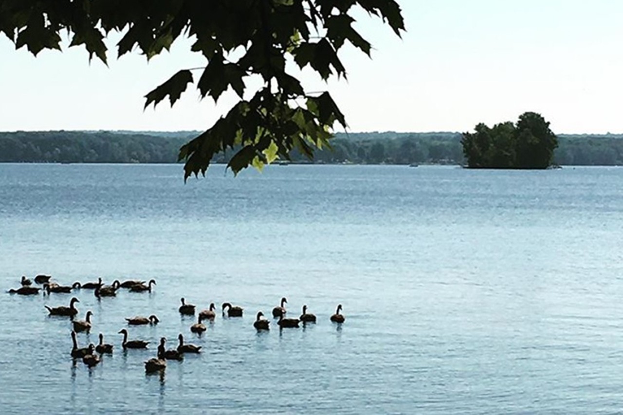 Pymatuning State Park
6100 Pymatuning Lake Road, Andover
Pick out a campsite at Pymatuning State Park and check out what happens when water recreation and an old swamp forest meet. 
Photo via  judypeppercorn/Instagram