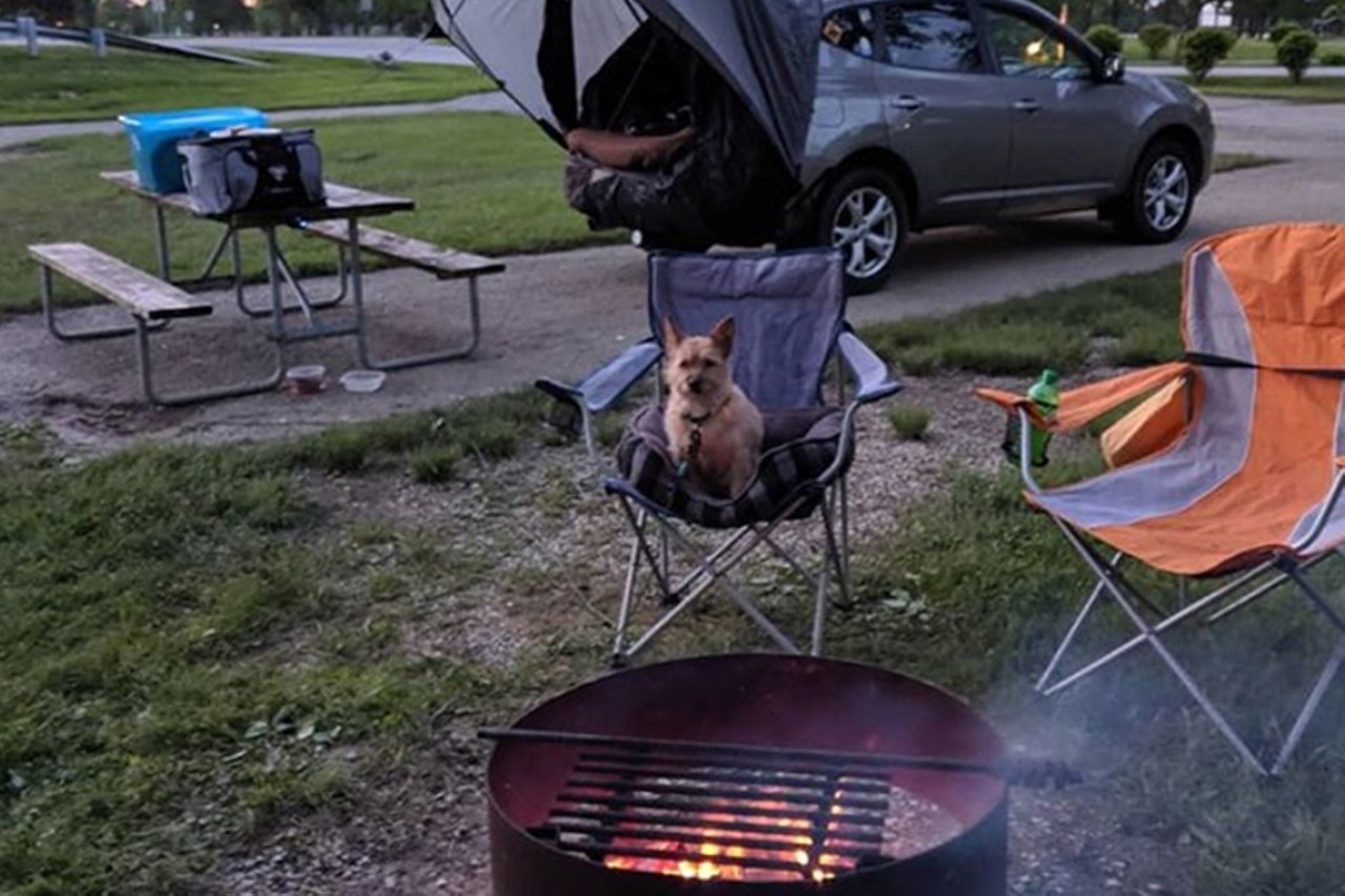 Lake Loramie State Park
4401 Ft. Loramie Swanders Road, Minster
Known as a laid-back camping destination, Lake Loramie State Park offers a variety of outdoor activities. It&#146;s also pet-friendly. 
Photo via  hxcorey412/Instagram