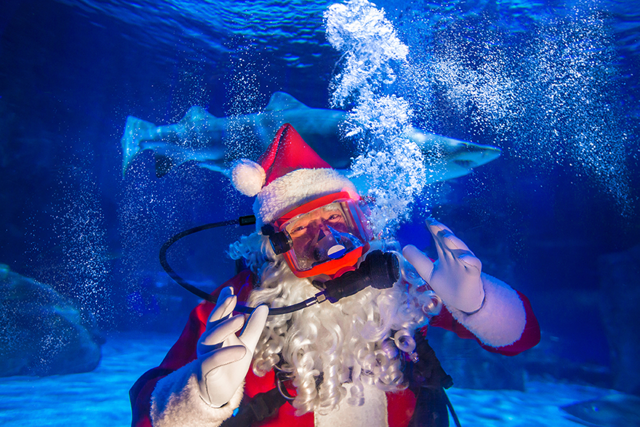Visit Scuba Santa at the Newport Aquarium
1 Levee Way, Newport
Scuba Santa has returned to the Newport Aquarium for the 19th year of this “one-of-a-kind” Cincinnati tradition. Every day through Dec. 24, Scuba Santa will be swimming in a tank of sharks, ready and happy to hear what any young guests want for Christmas. Father Christmas will, of course, have his team of elves helping him out — and making sure he’s not eaten. The entire aquarium is decked out for the holiday with festive lights and music. Through Dec. 24. $22.99-34.99 adults; $14.99-26.99 children 2-12. newportaquarium.com.