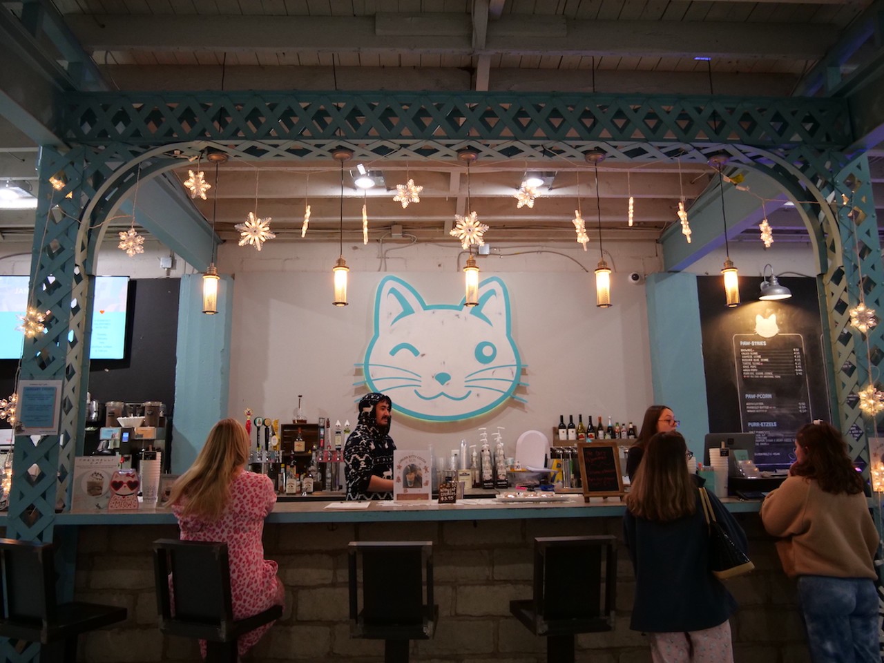 Purrfect Day Cat Cafe's Pajama Party | Jan. 21