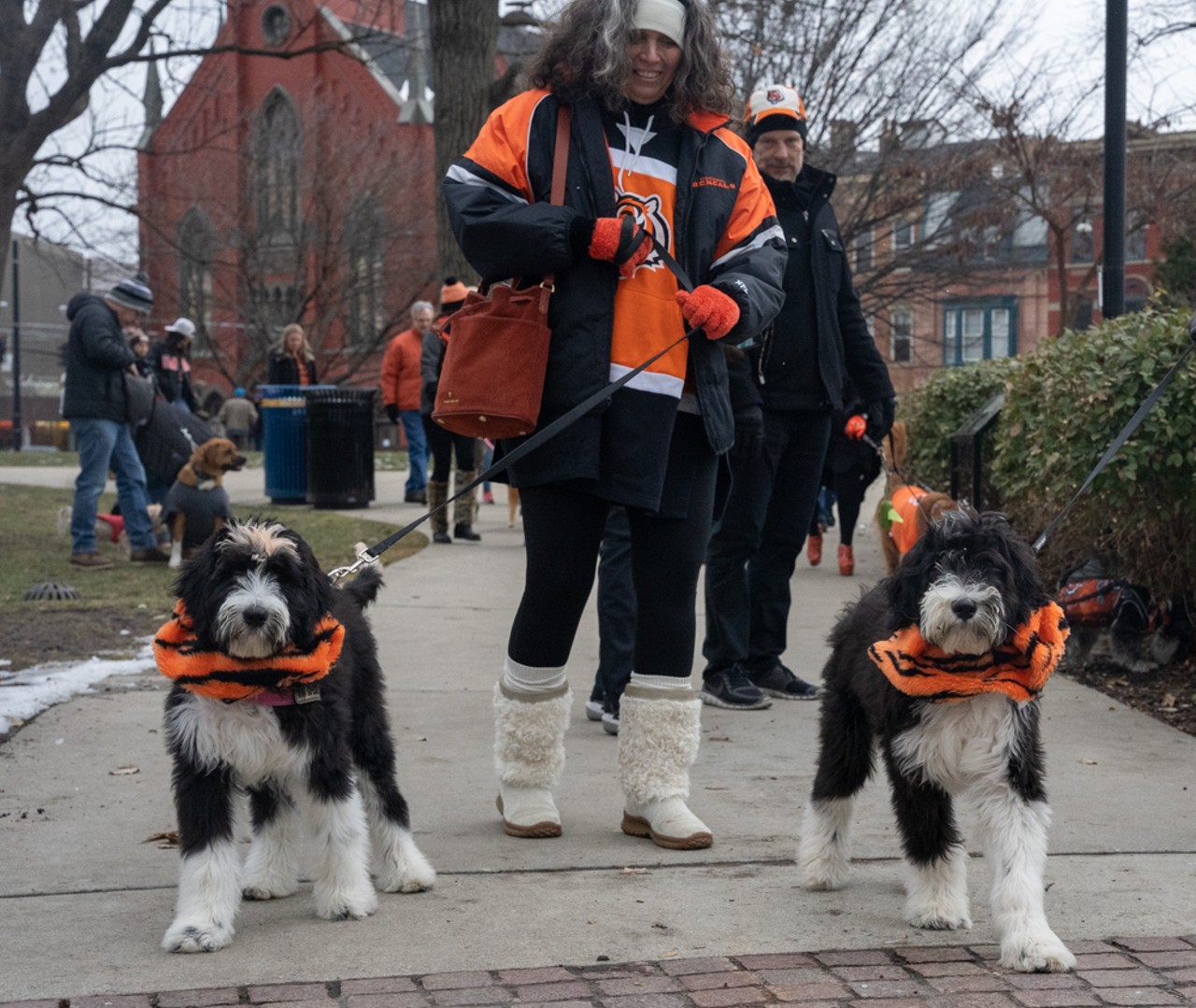 Cincinnati Bengals Running Dog Costume