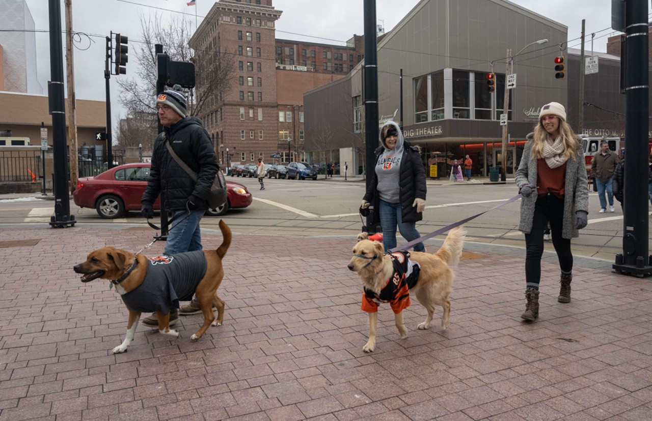 Dress Your Pup in Bengals Gear for the Cincinnati BengalDog Parade in  Over-the-Rhine, Things To Do, Cincinnati