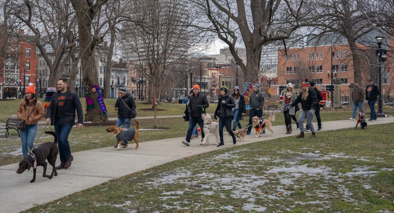 The Cincinnati Bengaldog Parade Will March Cute — and Costumed