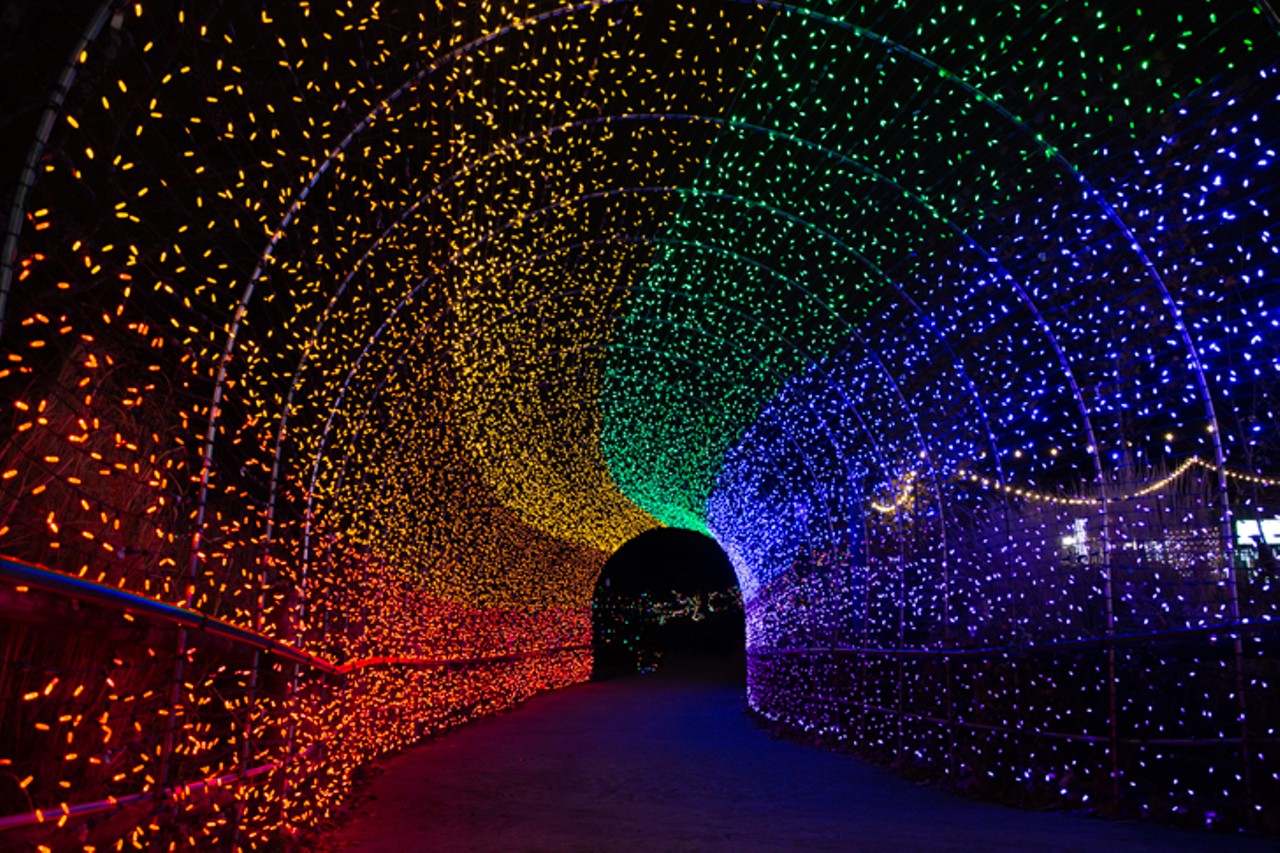 All the Dazzling Photos from Cincinnati Zoo's PNC Festival of Lights
