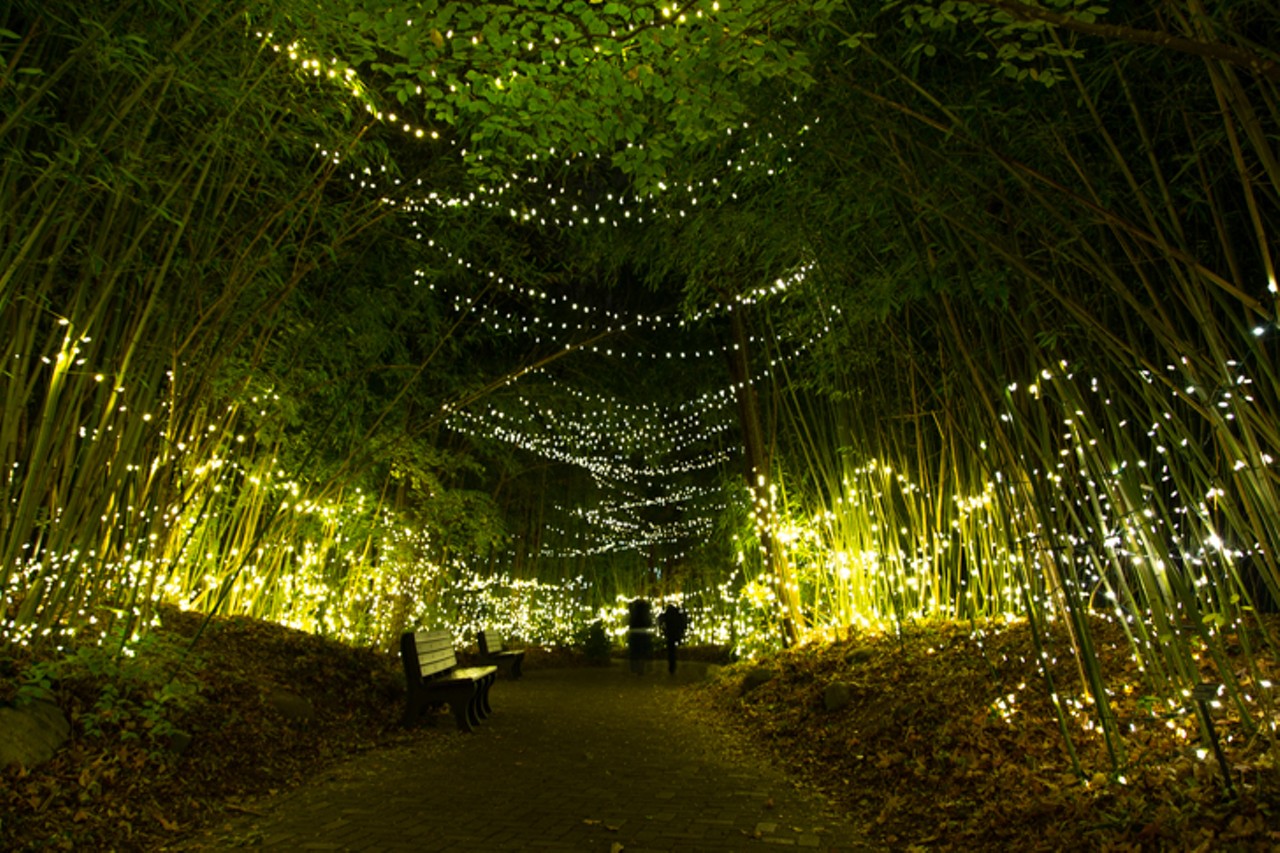 All the Dazzling Photos from Cincinnati Zoo's PNC Festival of Lights