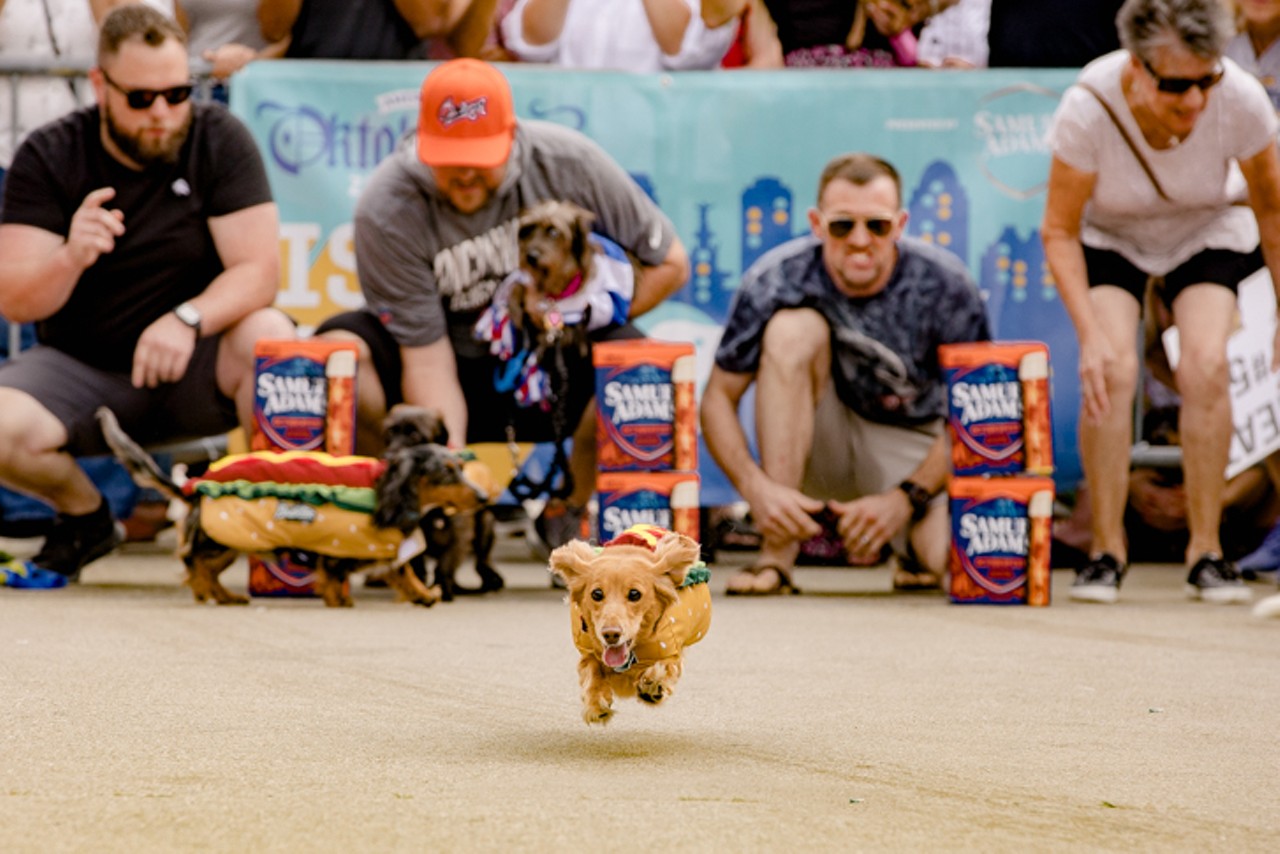 All the Speedy Longbois We Saw at this Year's Running of the Wieners Race