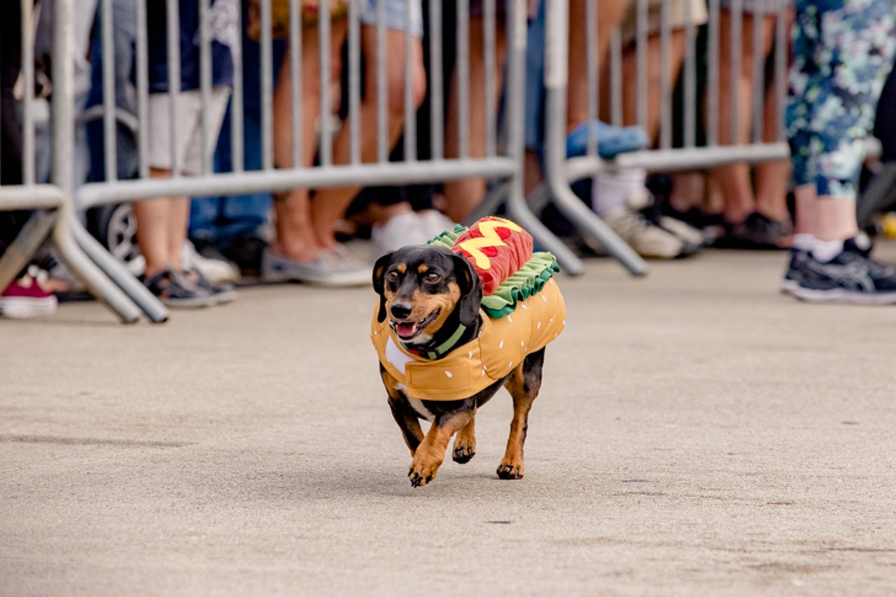 All the Speedy Longbois We Saw at this Year's Running of the Wieners Race