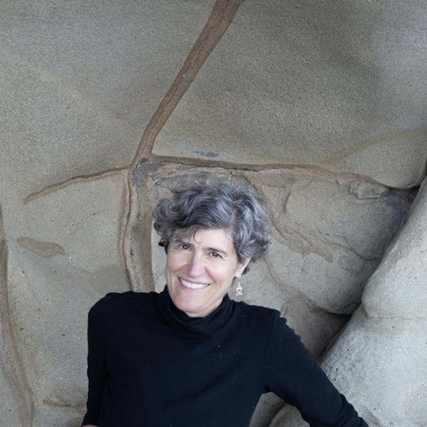 Robin McLean will join UC’s Visiting Writers Series on Thursday, March 28 at 5:30 for a fiction reading; and on Friday, March 29 at 3:30 p.m., McLean will be in conversation with her agent Stephanie Steiker.