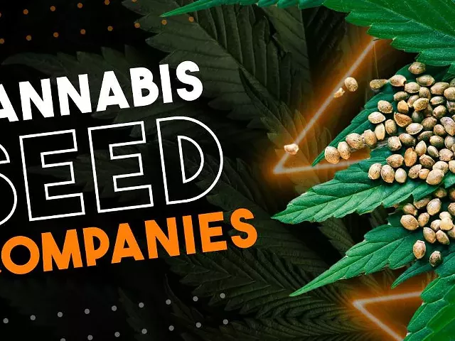 Best Seed Banks: Reputable Vendors to Buy Cannabis Seeds