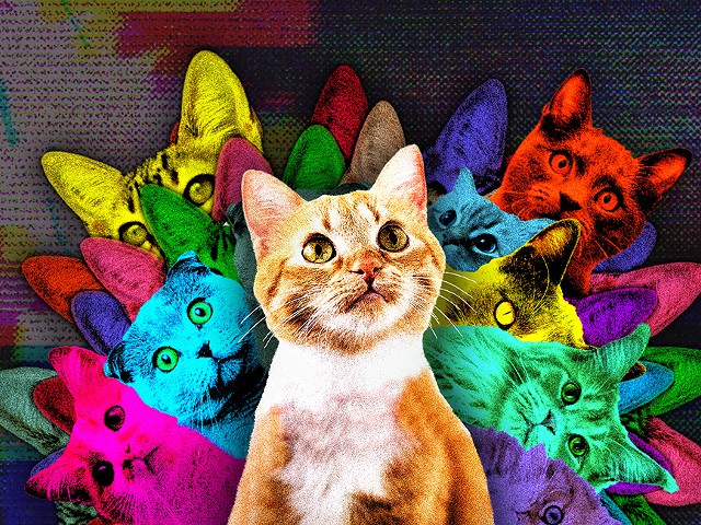 Poster art for the 2022 CatVideoFest