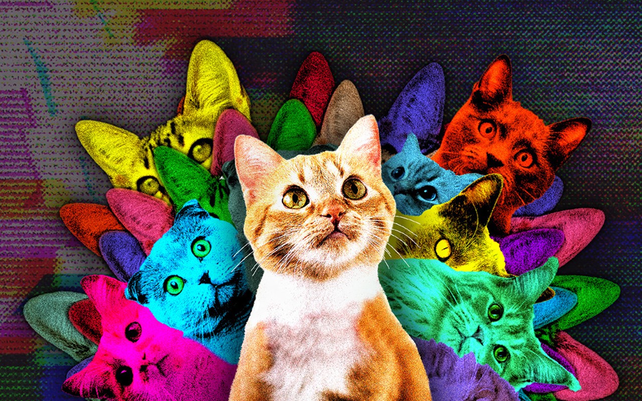Poster art for the 2022 CatVideoFest