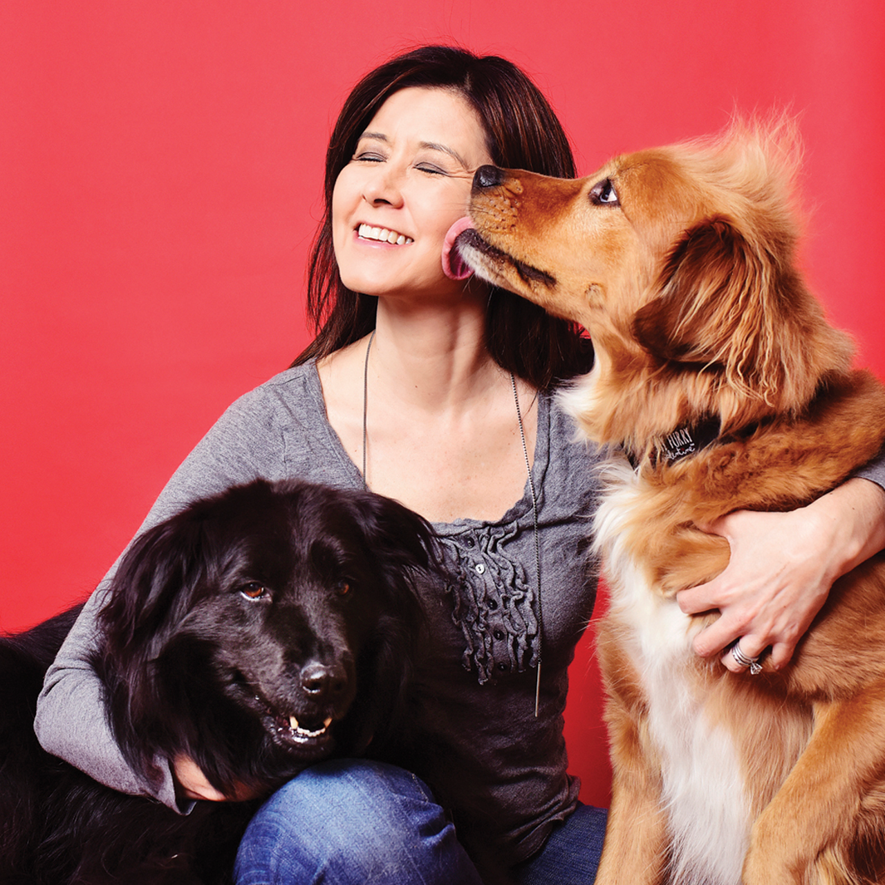 Carolyn Evans, founder of My Furry Valentine and owner of PhoDOGrapher pet photography studio
