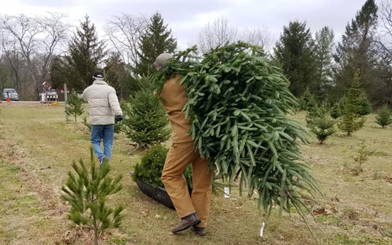 Headlines have been popping up about live and artificial Christmas tree shortages all over the U.S. And it looks like those issues may have made their way to the Cincinnati area, including at Rossmann's Christmas Tree Farm in Blanchester.