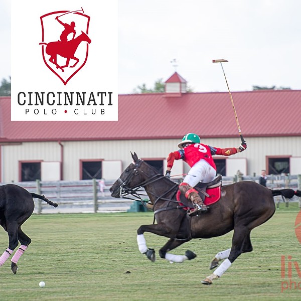 Cincinnati Polo