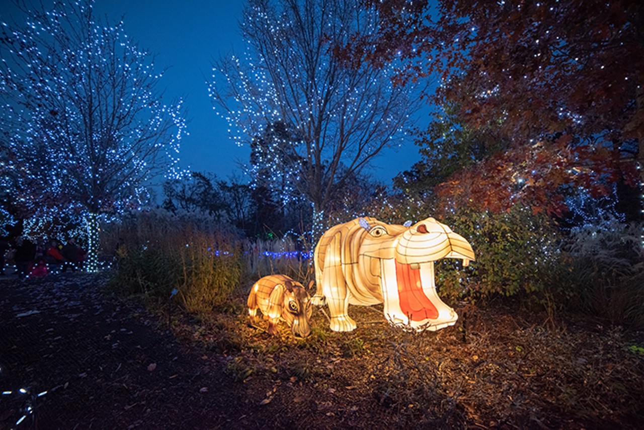 Cincinnati Zoo & Botanical Garden's Festival of Lights is a 'Wild Wonderland' of Twinkling Bulbs