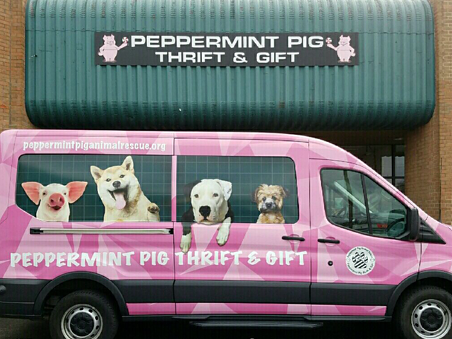 Peppermint Pig Thrift & Gift