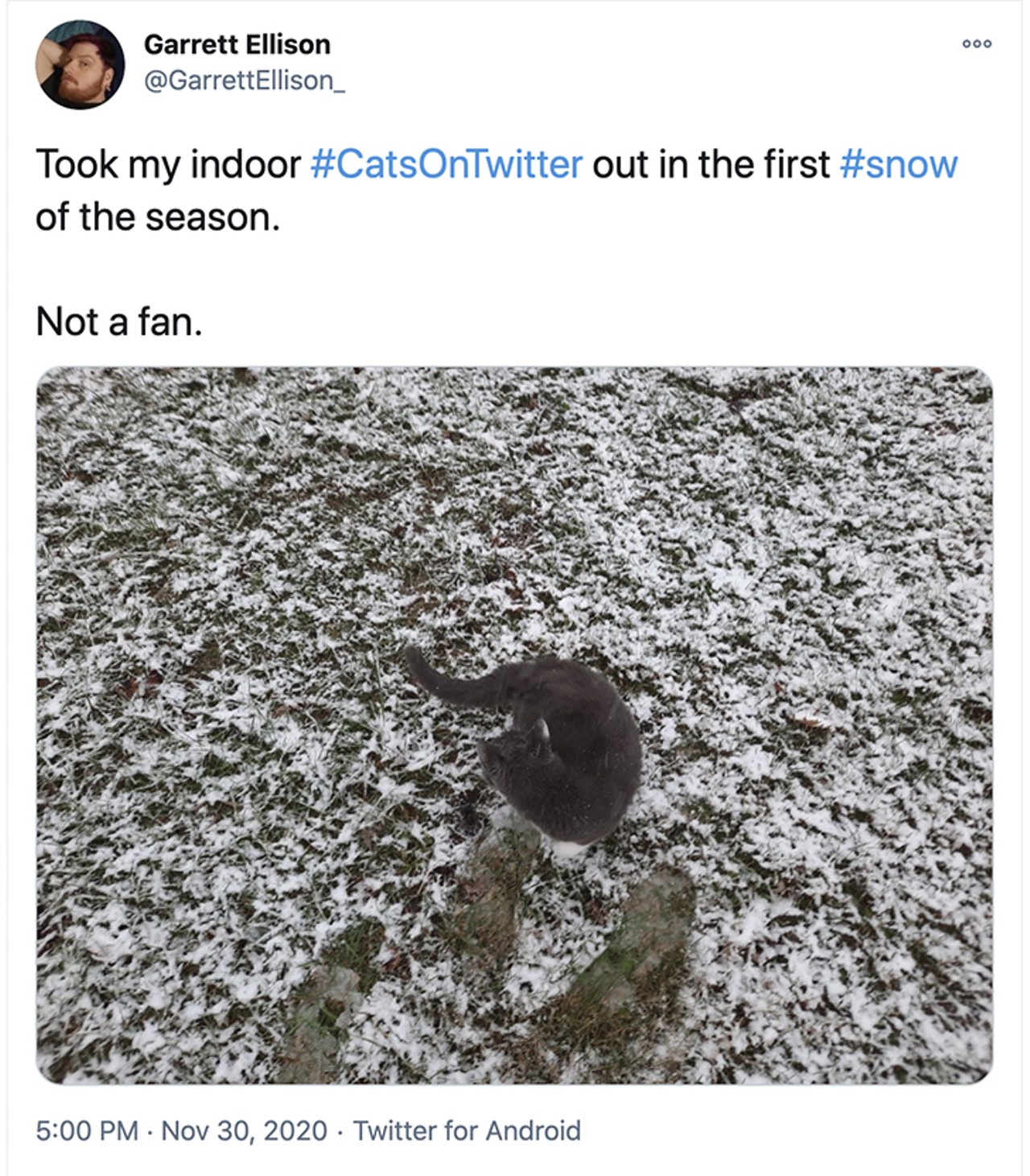 Cincinnati's Twitter Transformed into a Winter Wonderland After Last Night's Snow