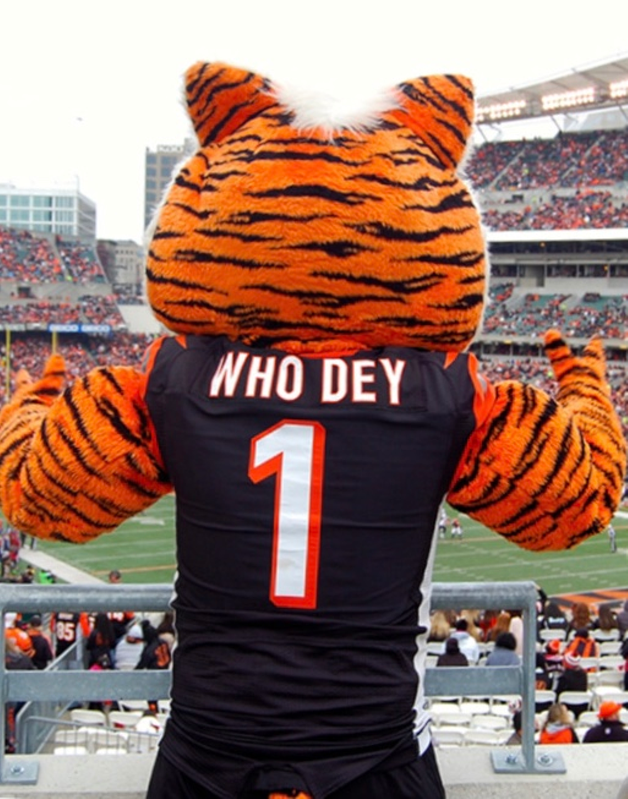 You will memorize the entire Bengals “Who-Dey” chant.