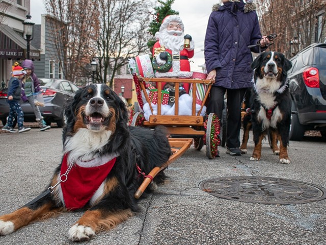 The 32nd-annual Reindog Parade kicks off at 2 p.m. this Saturday, Dec., 11. Proceeds will go to the Batavia League for Animal Welfare.