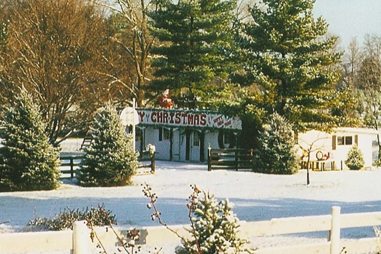 Berninger Christmas Trees and Wreaths
1220 Stubbs Mill Road, Lebanon
In operation since 1955, this farm offers cut-your-own trees, pre-cut trees, free popcorn and hot chocolate. They'll shake and wrap the tree for you, and drill the trunk to accommodate a tree stand upon request.
Open 9 a.m.-5 p.m. Friday through Sunday starting Nov. 27.
Photo: Berninger Christmas Trees and Wreaths