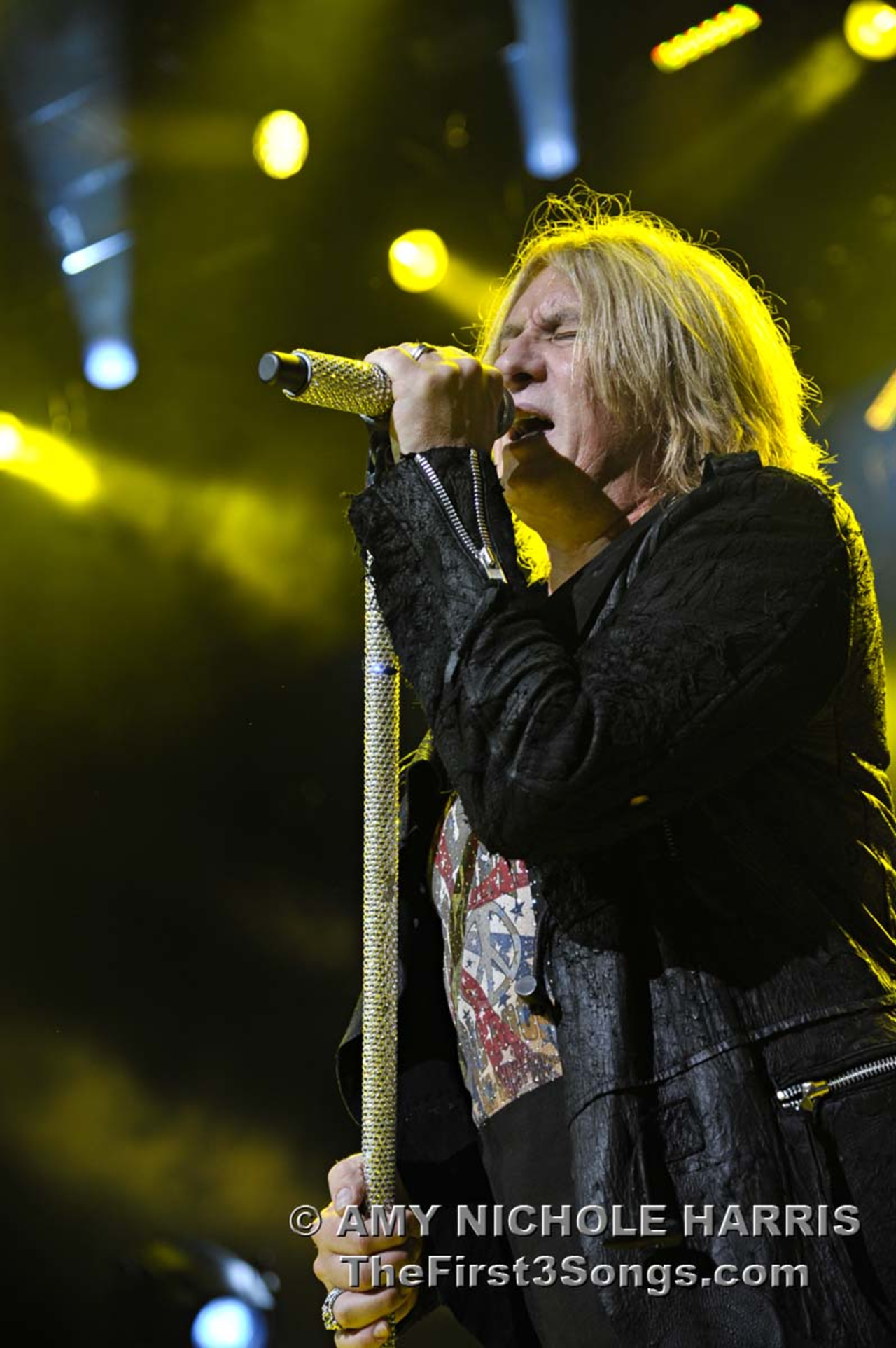 Def Leppard with Poison & Lita Ford at Riverbend
