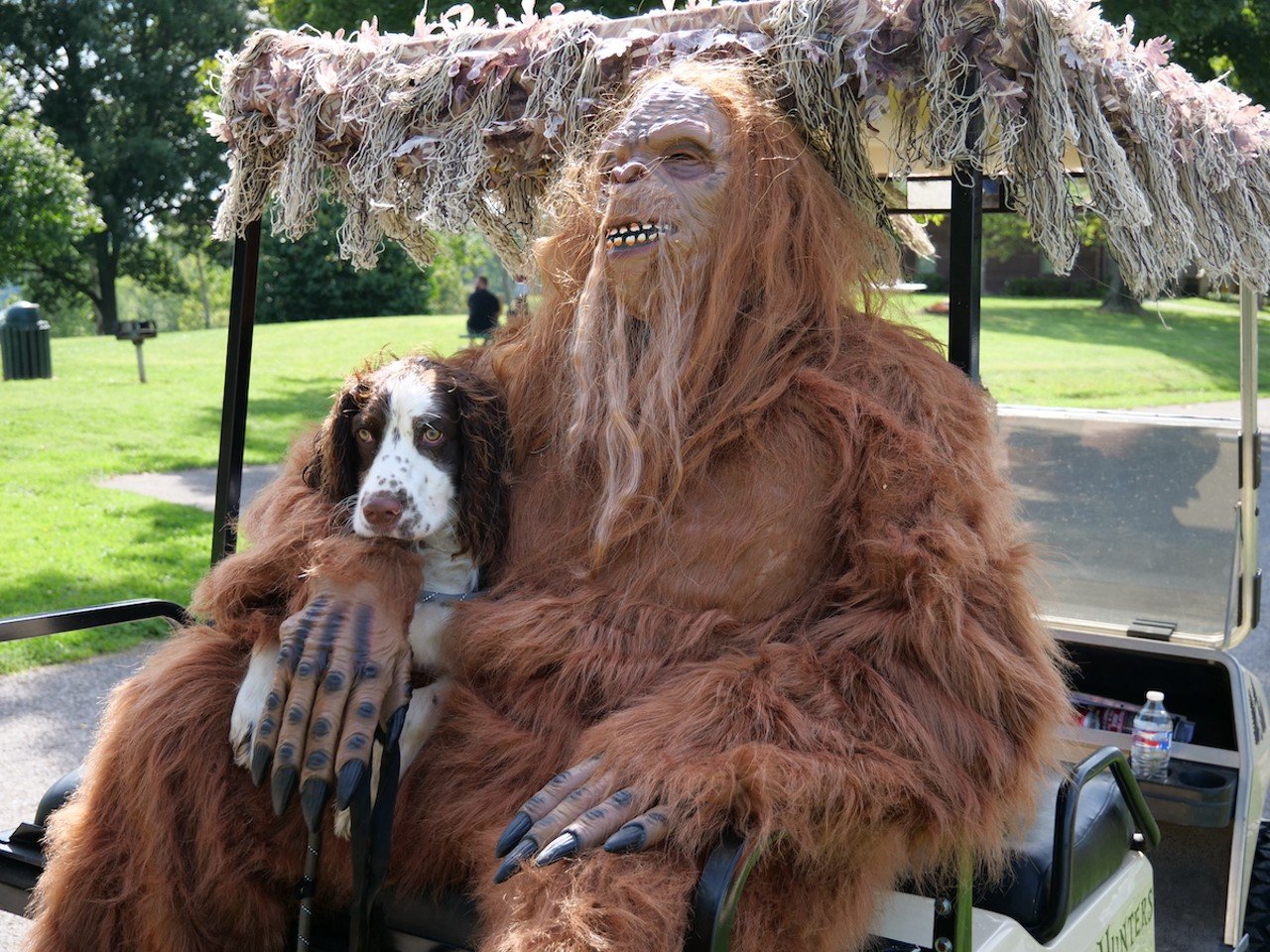 A person in a Bigfoot costume and their dog, Trevor, hitch a ride on a golf cart during Bigfoot Basecamp in September 2022.
