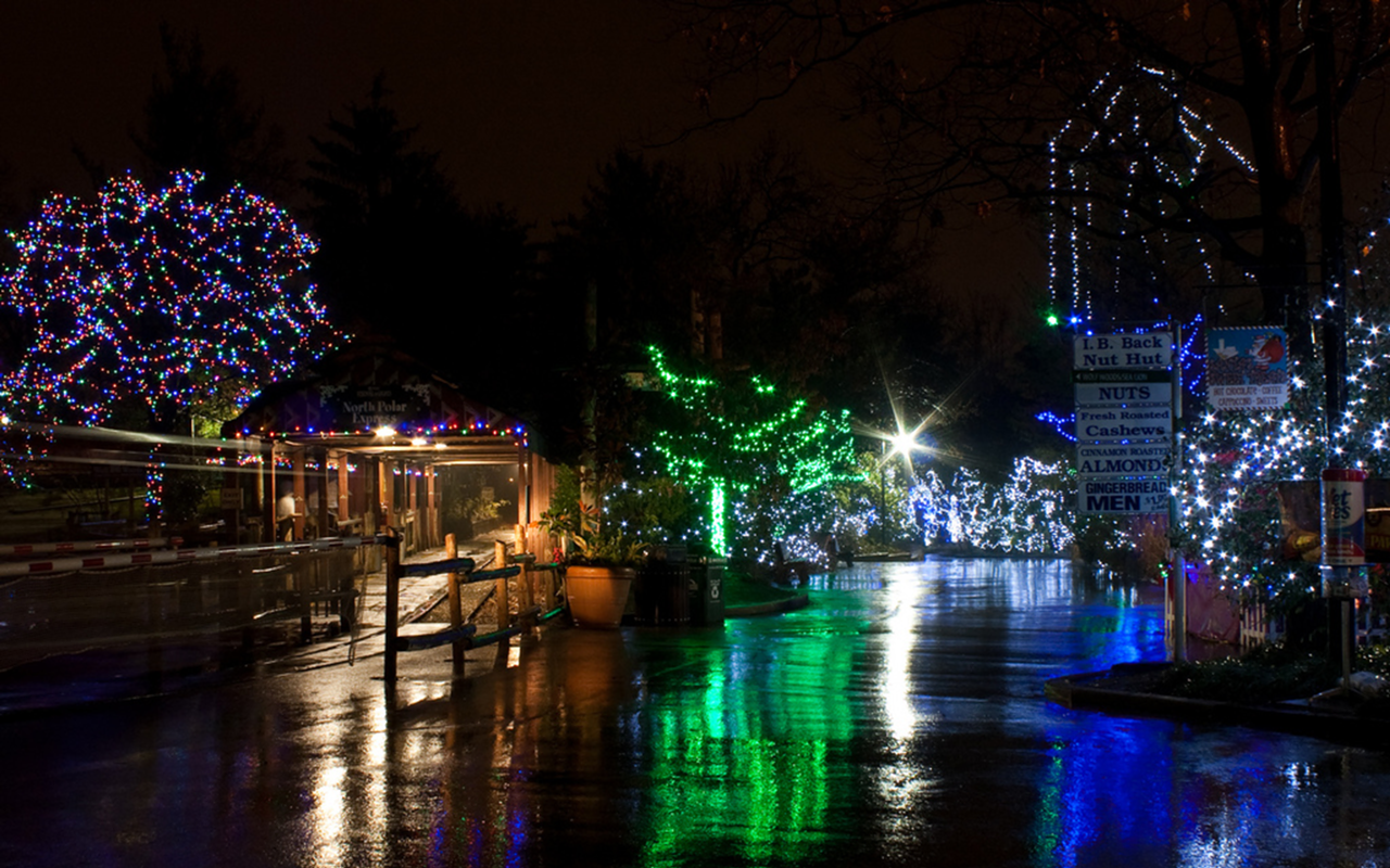 Events: Festival of Lights at Cincinnat Zoo