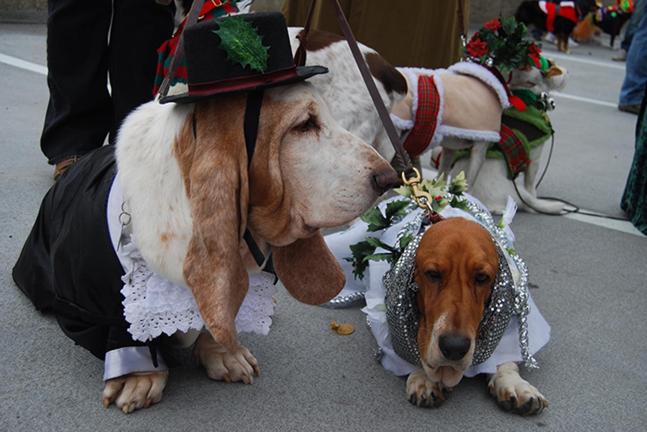 Events: Mount Adams Reindog Parade
Dress your pets in holiday gear for the 29th-annual Mount Adams Reindog Parade. The parade features multiple costume categories including those for small dogs, large dogs and dog/owner look alike. Prizes will be awarded for the most creative, festive and unique costumes. Registration begins at noon. Donations go to support the SPCA. 12:30 p.m. registration Dec. 8; parade begins at 2 p.m. There is a suggested donation to the SPCA to register.
1055 Saint Paul Place, Mount Adams, spcacincinnati.org.
Photo via Facebook.com/MtAdamsReindogParade