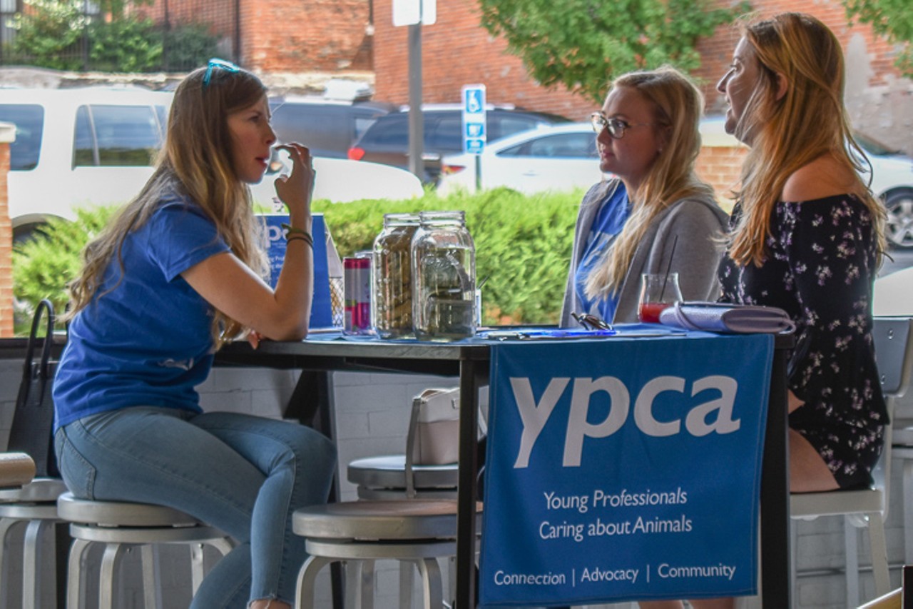 The YPCA are the young professionals of the SPCA; they support dog-friendly businesses and events around Cincinnati.