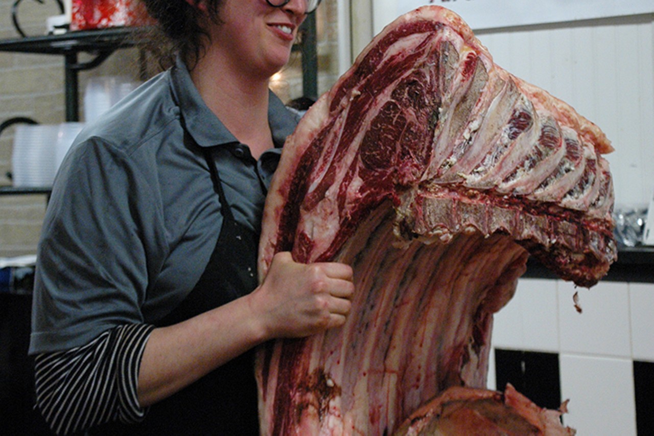 Shelbi and the forequarter