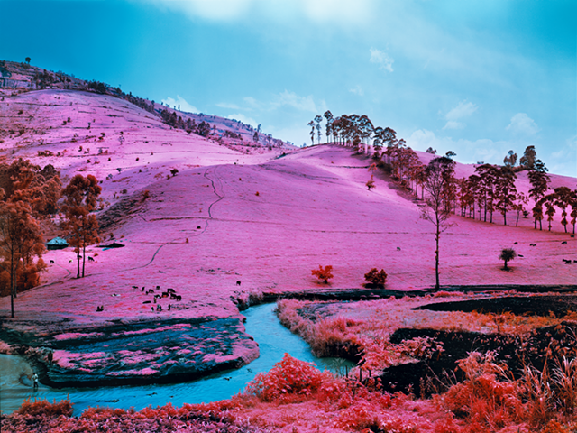 Richard Mosse's "Men of Good Fortune, 2011," digital c-print, 40 x 50 inches, 41 1/2 x 51 1/2 inches framed. © Richard Mosse.