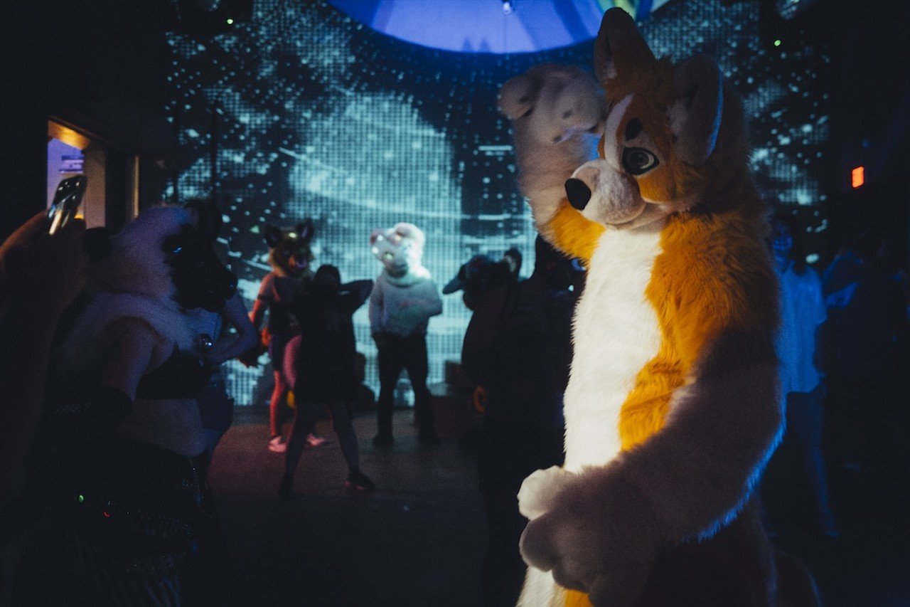 Alice hosts BLEAT, a furry rave, on June 21, 2024