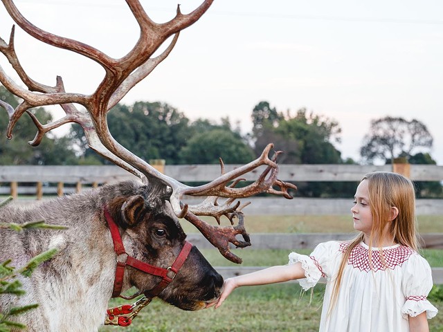 If you’re looking to take a road trip this holiday season, it may be worth the drive to Bowling Green to check out a farm full of real-life reindeer.