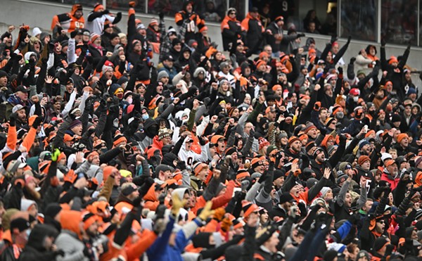 Cincinnati Bengals fans have something to cheer about this year.