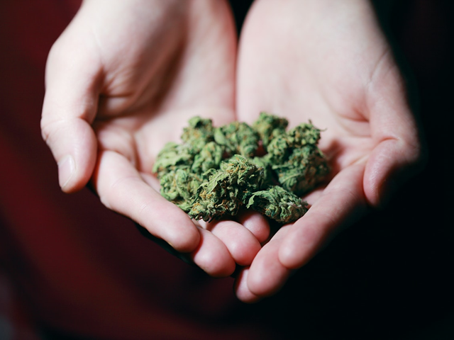 Kentucky's Gov. Andy Beshear Launches 4 Steps To Explore Medical Marijuana Legalization Via Executive Action