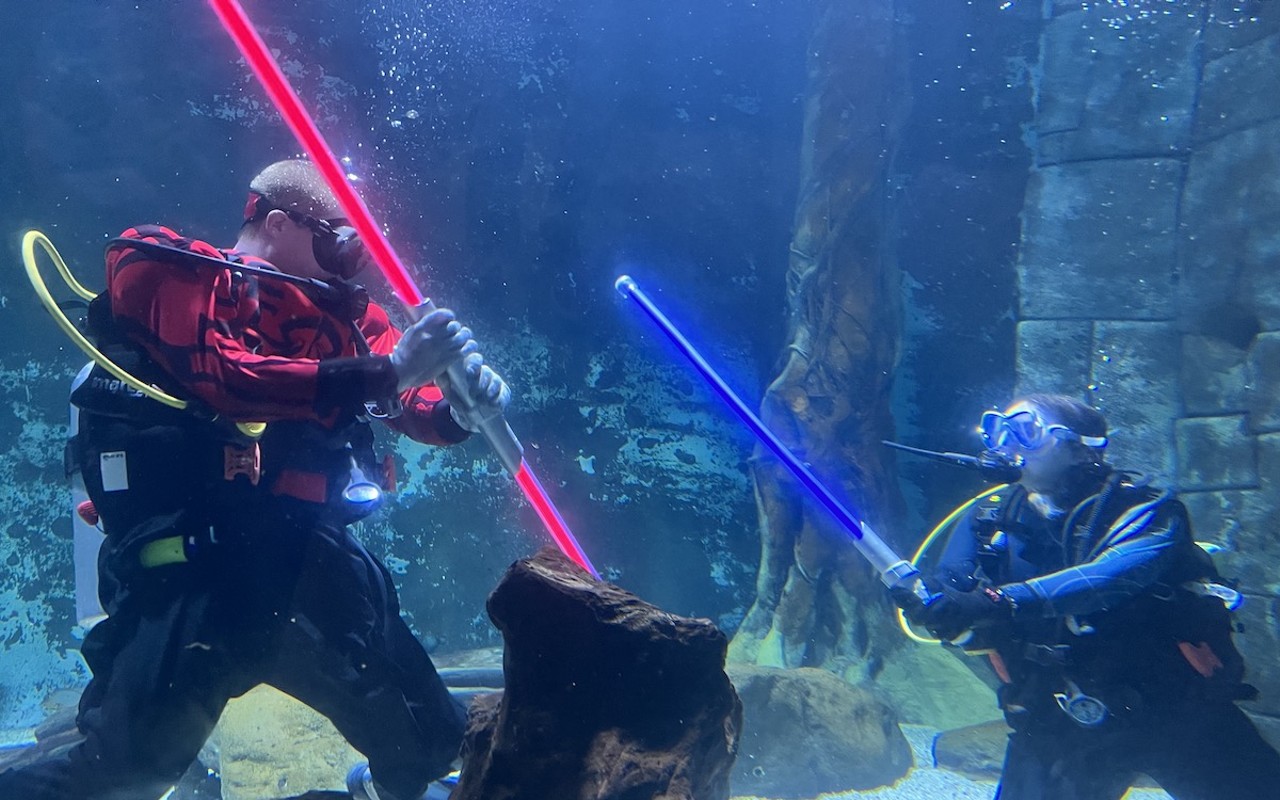 Visitors of Newport Aquarium on May the 4th are invited to wear their favorite space gear and to keep an eye out for special surprises, like underwater lightsaber duels between aquarium divers.