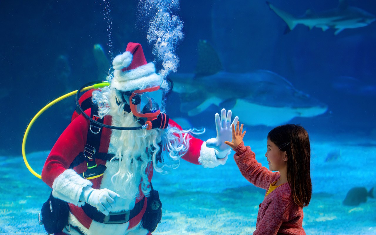 Scuba Santa at the Newport Aquarium